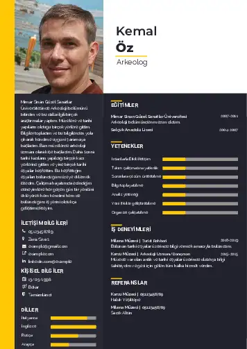 Arkeolog Cv Örnekleri cv indir